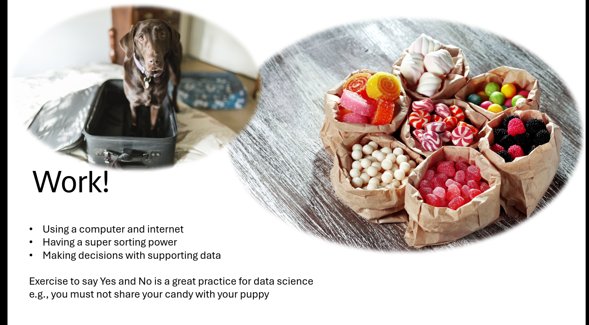 The "Work!" slide: a dog sitting in a suitcase next to paper bags of assorted sweets, with bullet points: using a computer and internet, having a super sorting power, making decisions with supporting data